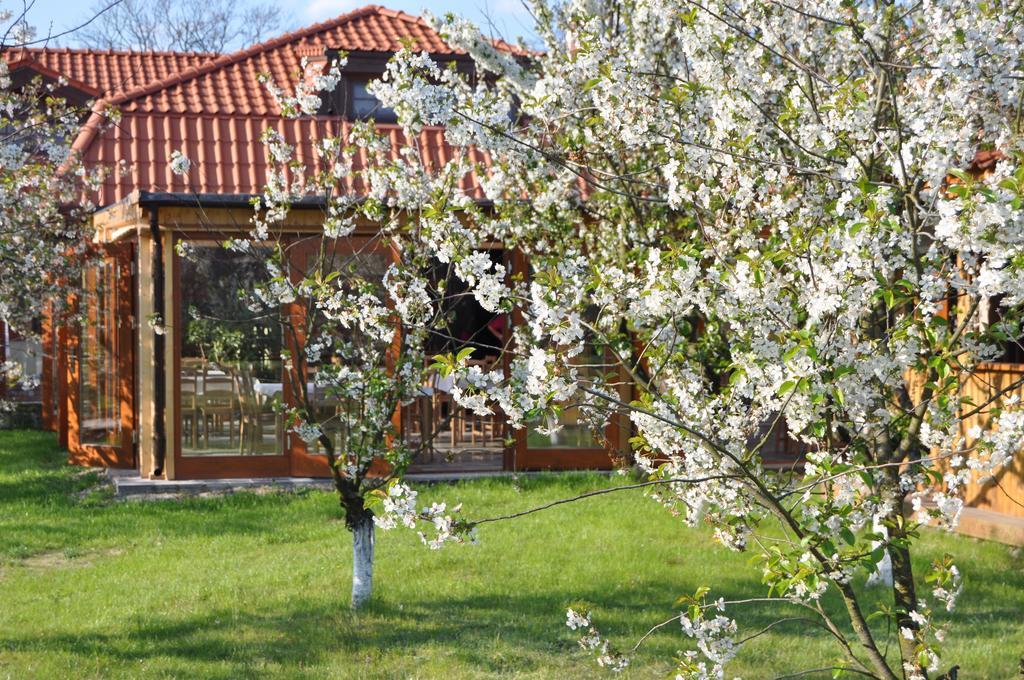 Gosciniec Gryszczeniowka & Spa Wargowo Экстерьер фото